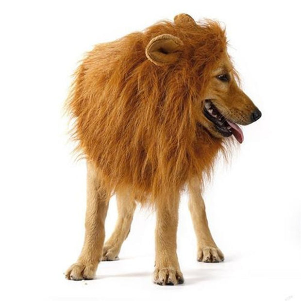 Cute Pet Cosplay Clothes Transfiguration Costume Lion Mane