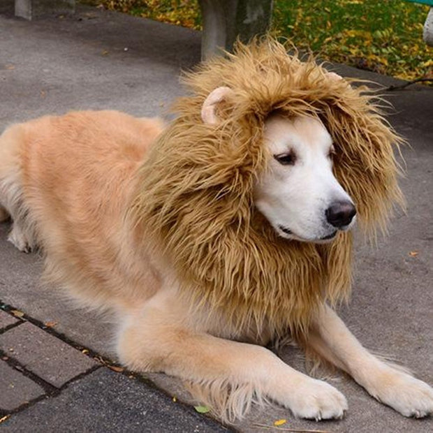 Cute Pet Cosplay Clothes Transfiguration Costume Lion Mane