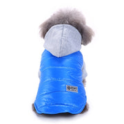 Apparel Autumn And Winter Pet Sweater Teddy Winter Clothing