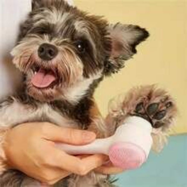 Easy Clean Nylon Pet Paw Brush Gentle Grooming And Massage Tool For Dogs