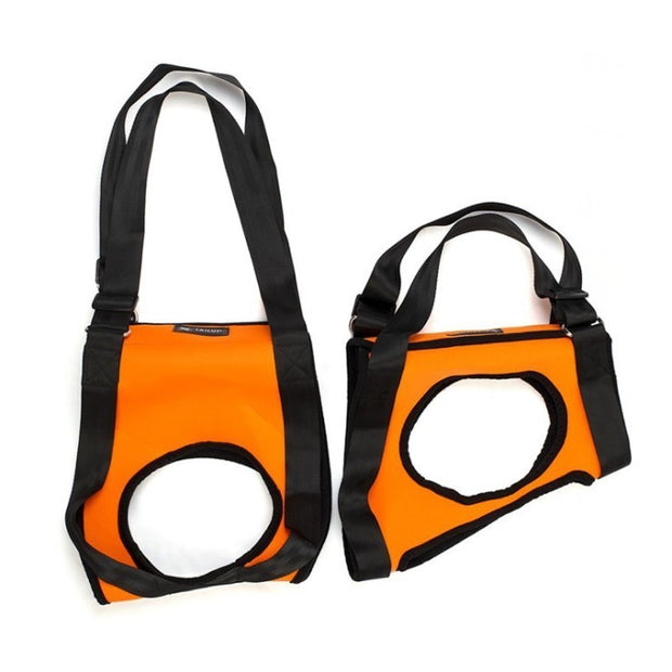 Pet Specific Safety Care Equipment Auxiliary Belt